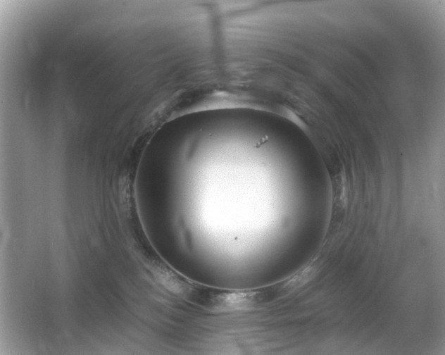 X0000063520184200601231525