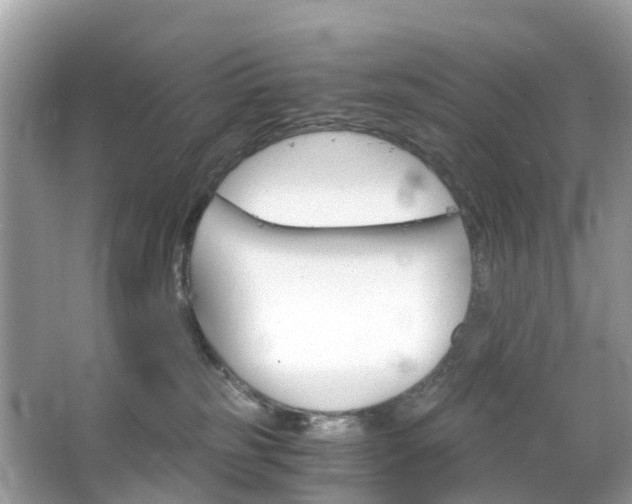 X0000063520185200601231525