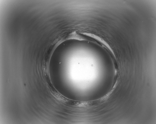 X0000063520186200601231525