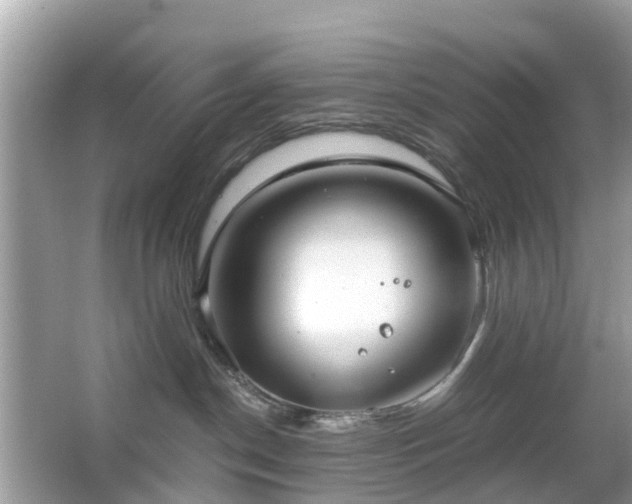 X0000063520190200601231525