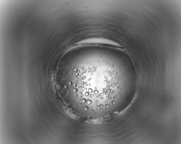 X0000063520191200601231525