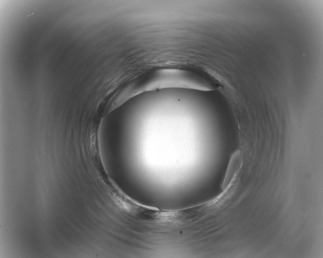 X0000063520192200601231525