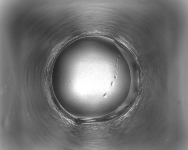 X0000063520193200601231524