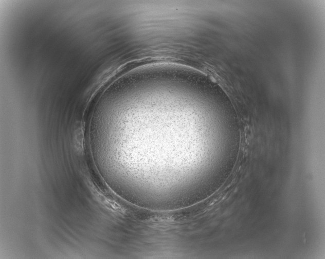 X0000063520194200601231524