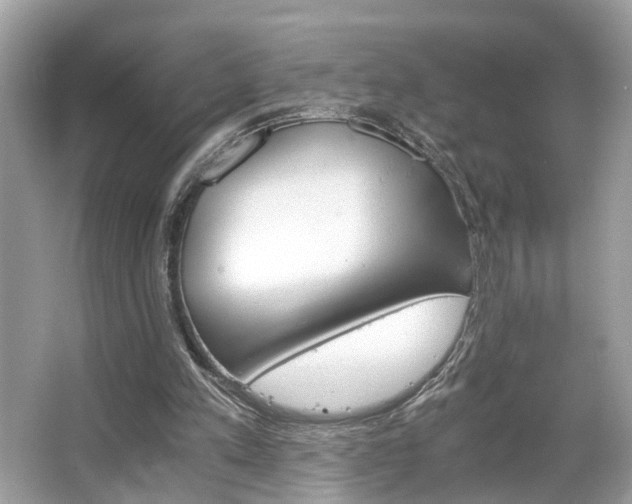 X0000063520197200601231524