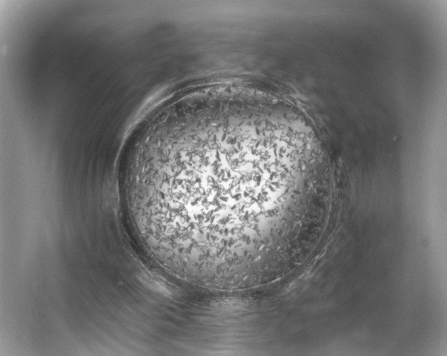 X0000063520198200601231524