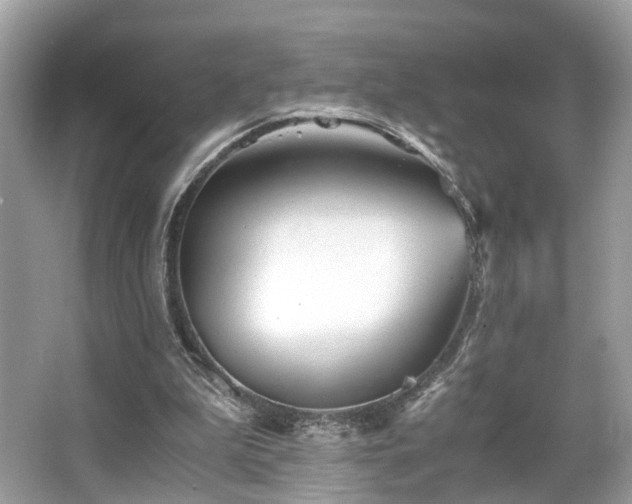 X0000063520199200601231524