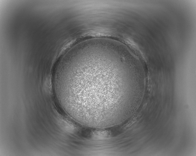 X0000063520202200601231524