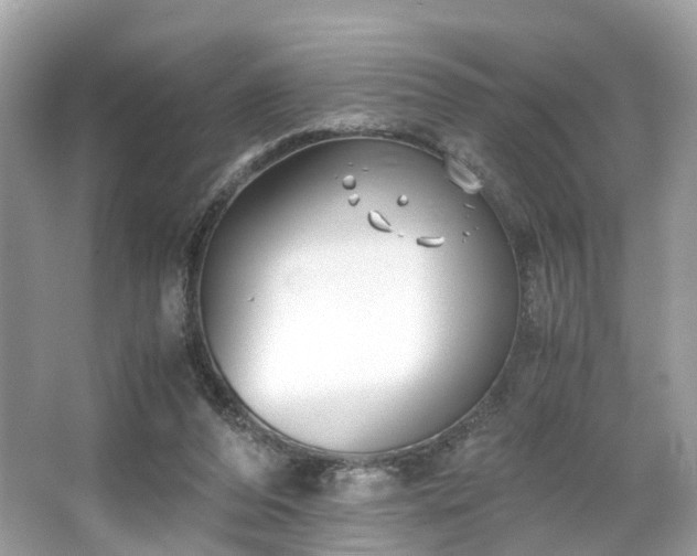 X0000063520208200601231524