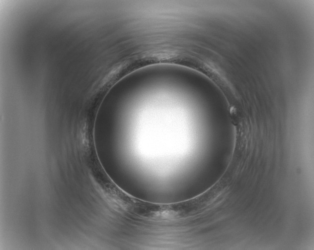 X0000063520212200601231524