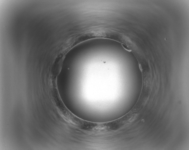 X0000063520213200601231524