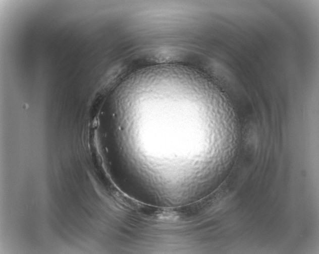 X0000063520214200601231524