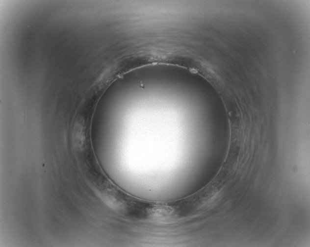 X0000063520215200601231524