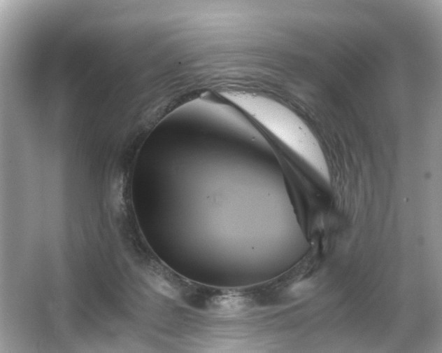 X0000063520219200601231524