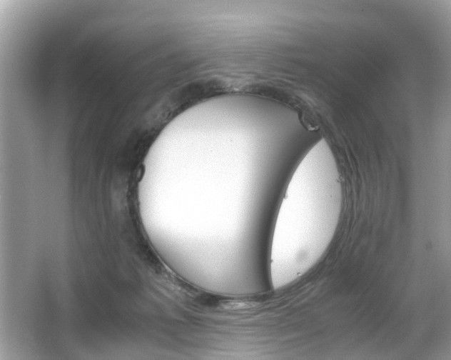 X0000063520221200601231524