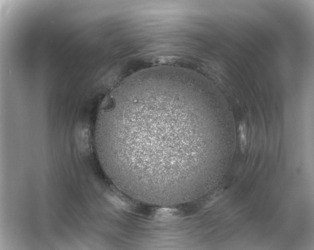 X0000063520222200601231524