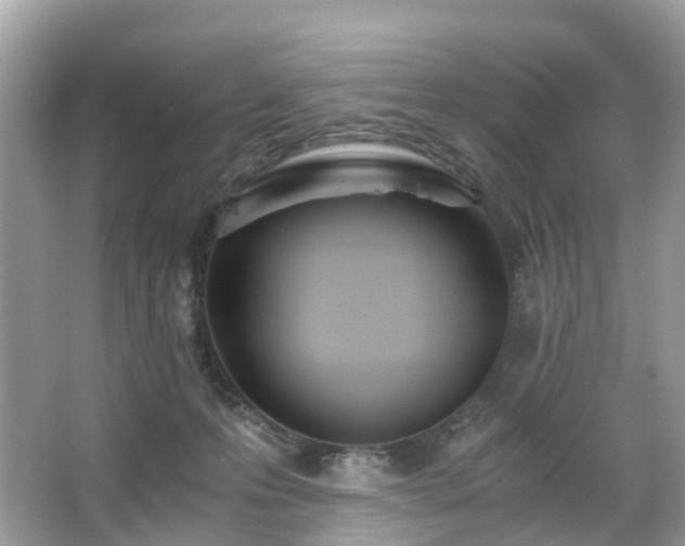 X0000063520223200601231524