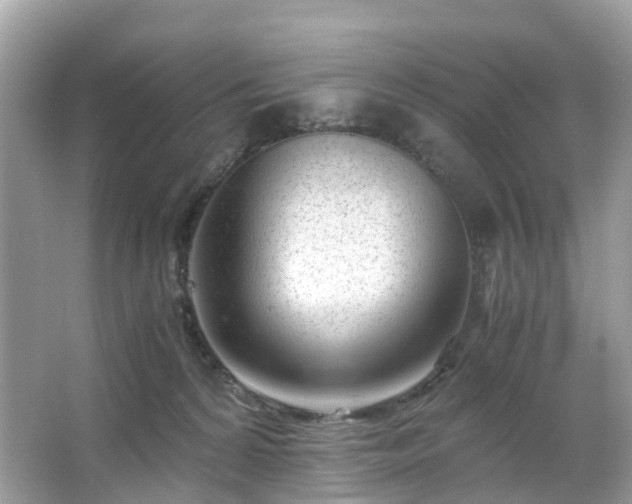 X0000063520224200601231524