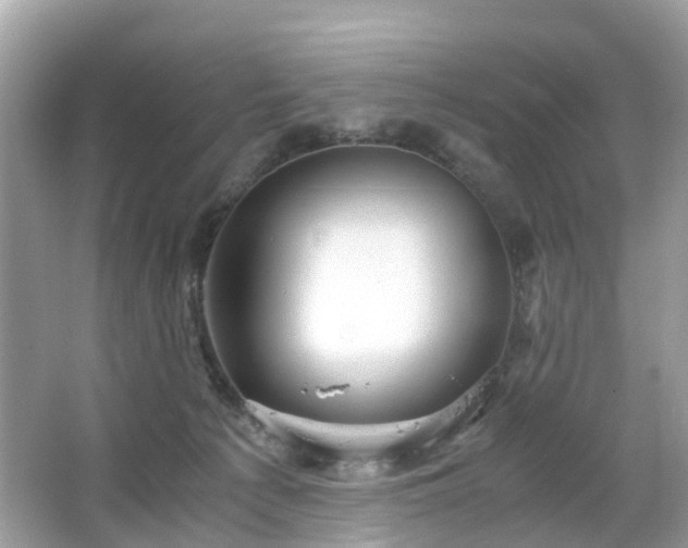 X0000063520225200601231524