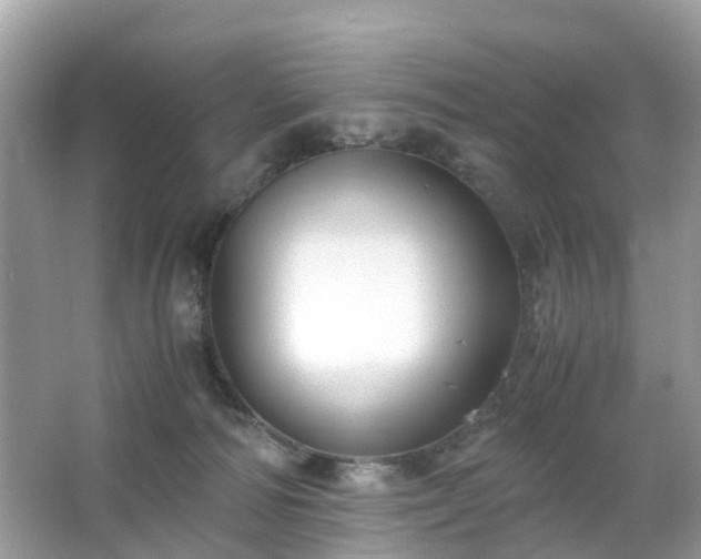 X0000063520226200601231524