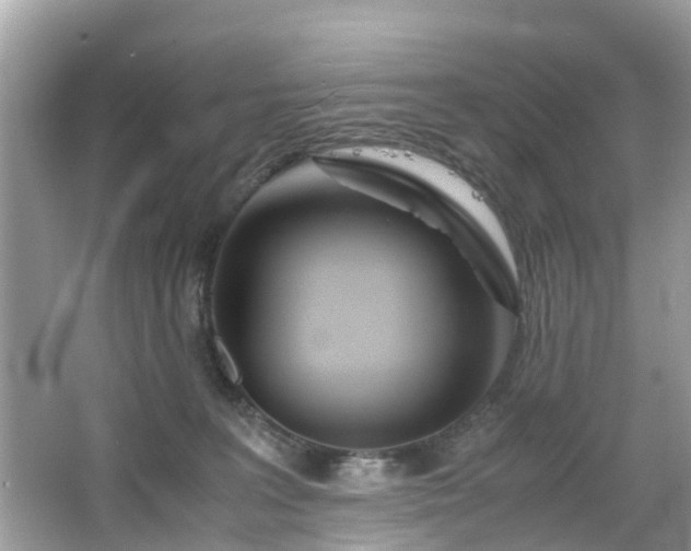 X0000063520227200601231524