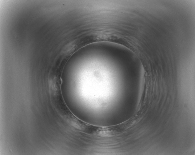 X0000063520228200601231524