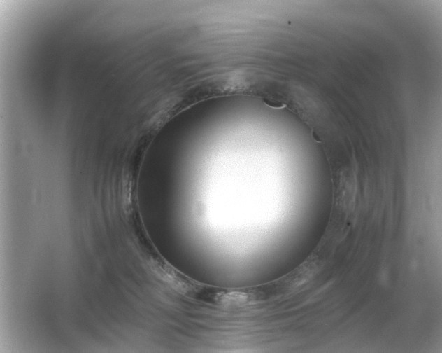 X0000063520230200601231524