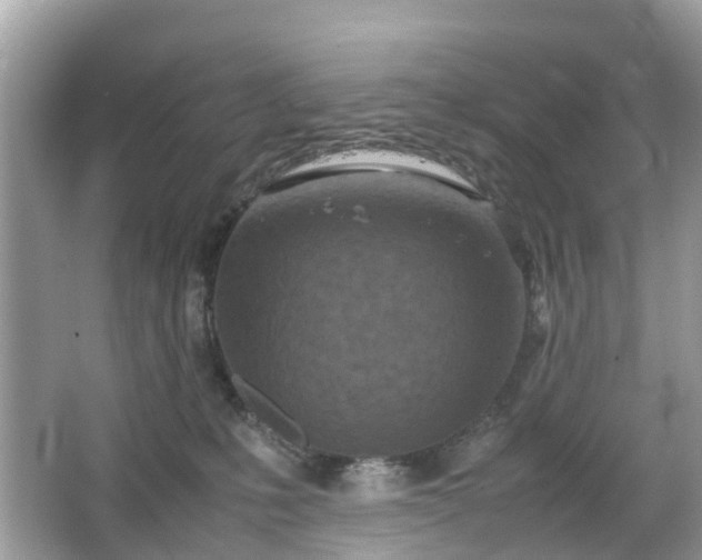 X0000063520231200601231524