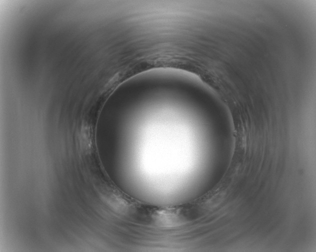 X0000063520232200601231524