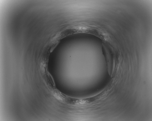 X0000063520235200601231524