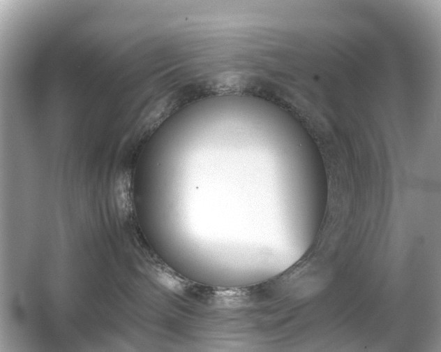 X0000063520240200601231524