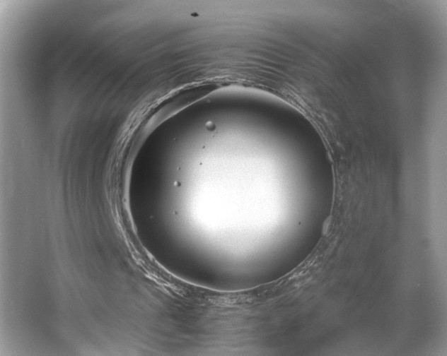 X0000063520241200601231523