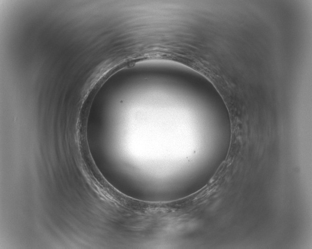 X0000063520242200601231523