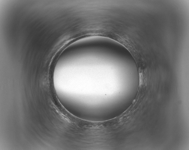 X0000063520243200601231523