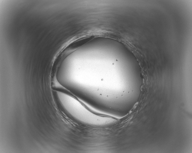 X0000063520244200601231523