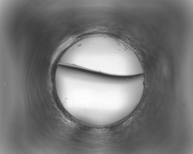 X0000063520245200601231523