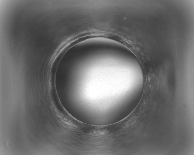 X0000063520247200601231523