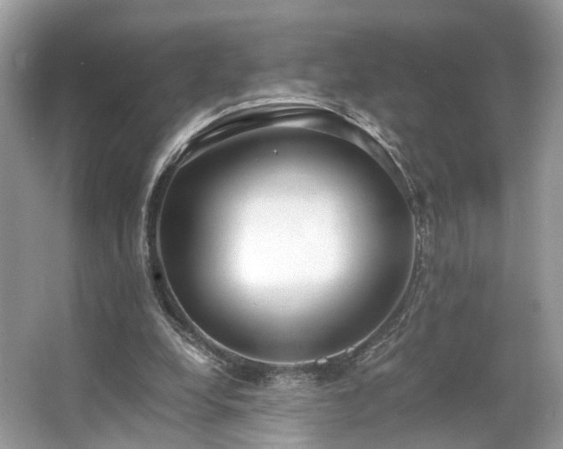 X0000063520248200601231523