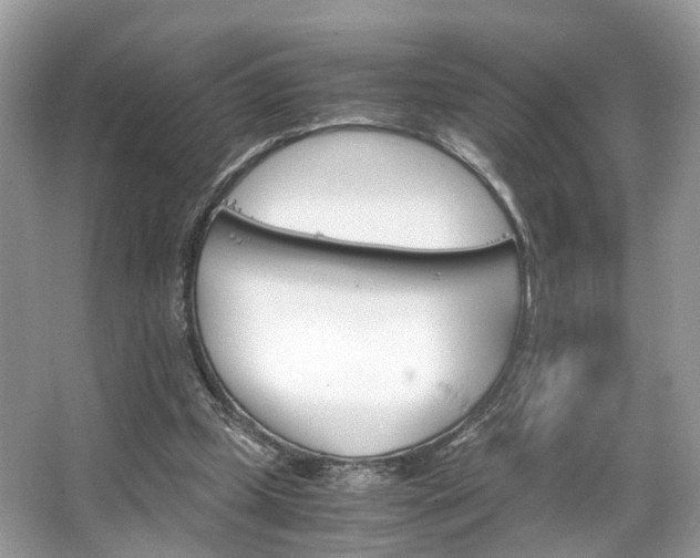 X0000063520249200601231523