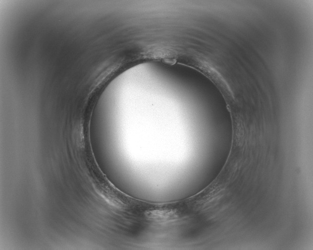 X0000063520251200601231523