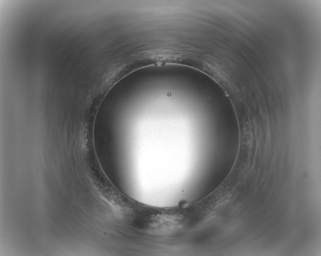 X0000063520255200601231523