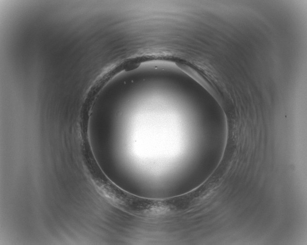 X0000063520256200601231523