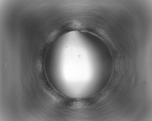 X0000063520259200601231523