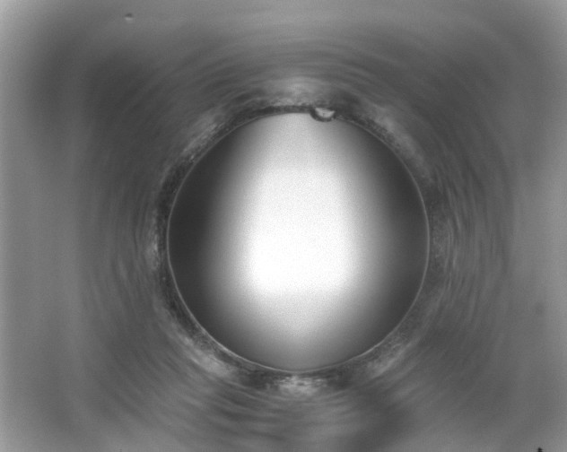 X0000063520261200601231523