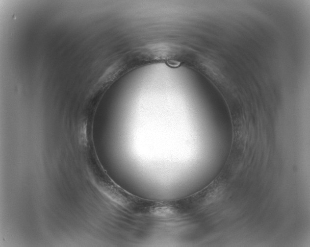 X0000063520262200601231523