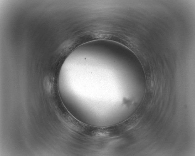 X0000063520263200601231523