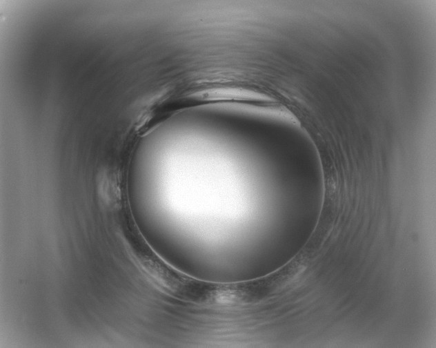 X0000063520264200601231523