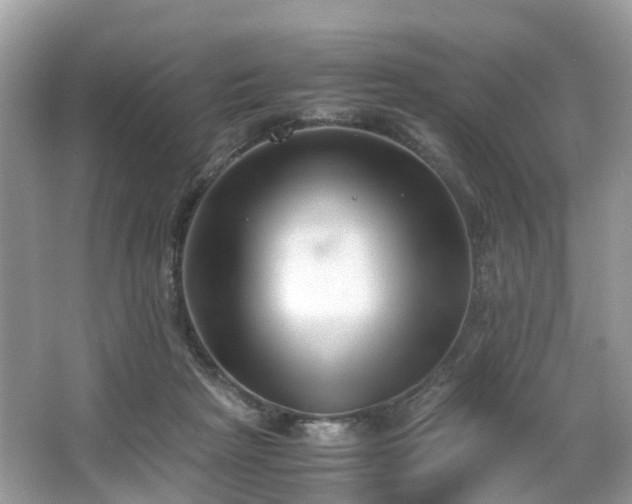 X0000063520265200601231523