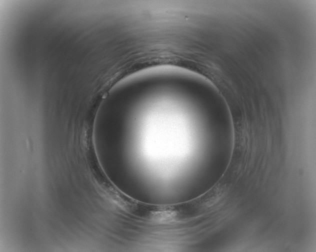 X0000063520266200601231523