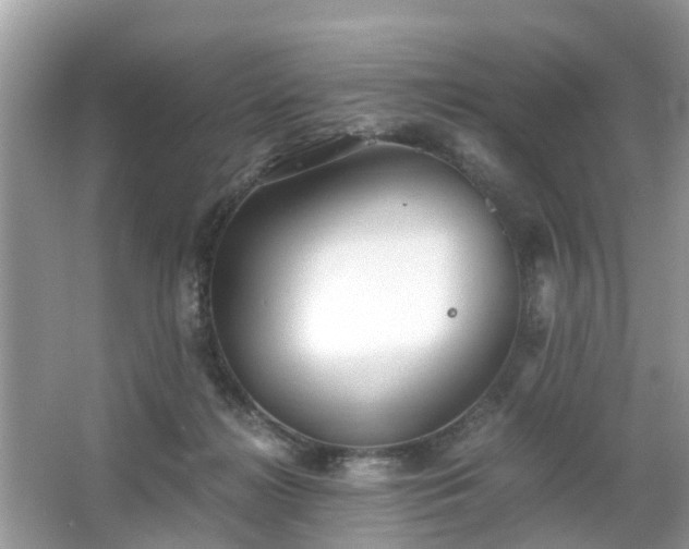 X0000063520268200601231523